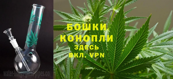 прущая мука Дмитриев
