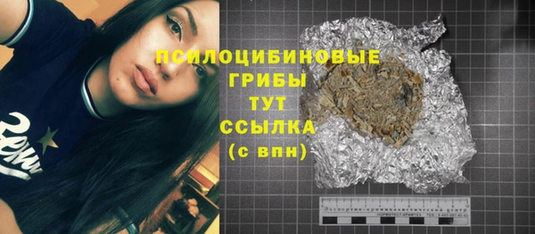 соль ск Дмитровск