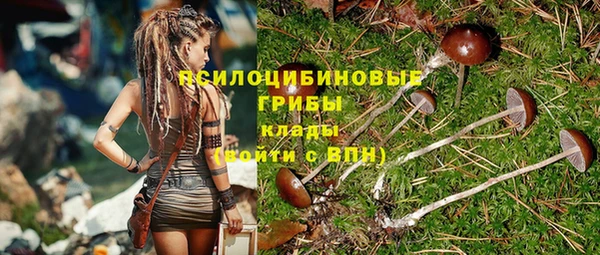 соль ск Дмитровск