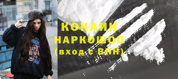соль ск Дмитровск