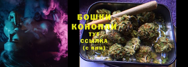 прущая мука Дмитриев
